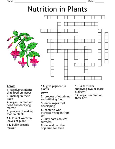 Popular seasonal houseplant crossword clue - The crossword clue Sunny spot for a houseplant with 4 letters was last seen on the November 08, 2022. We found 20 possible solutions for this clue. We think the likely answer to this clue is SILL. You can easily improve your search by specifying the number of letters in the answer.